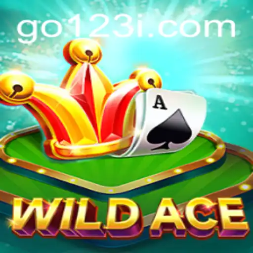 Experience the Thrill of 